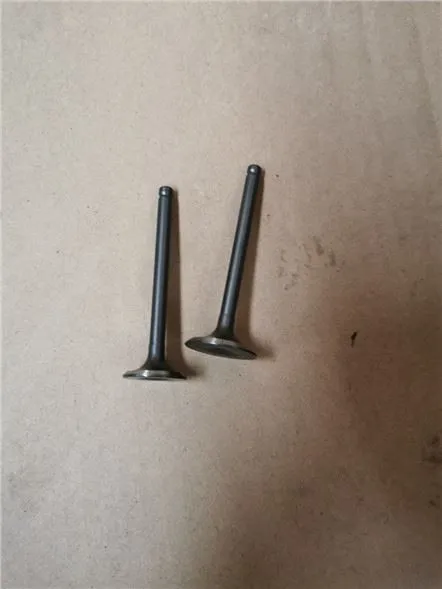 Вентил мотора мотоцикла Цуб 110цц